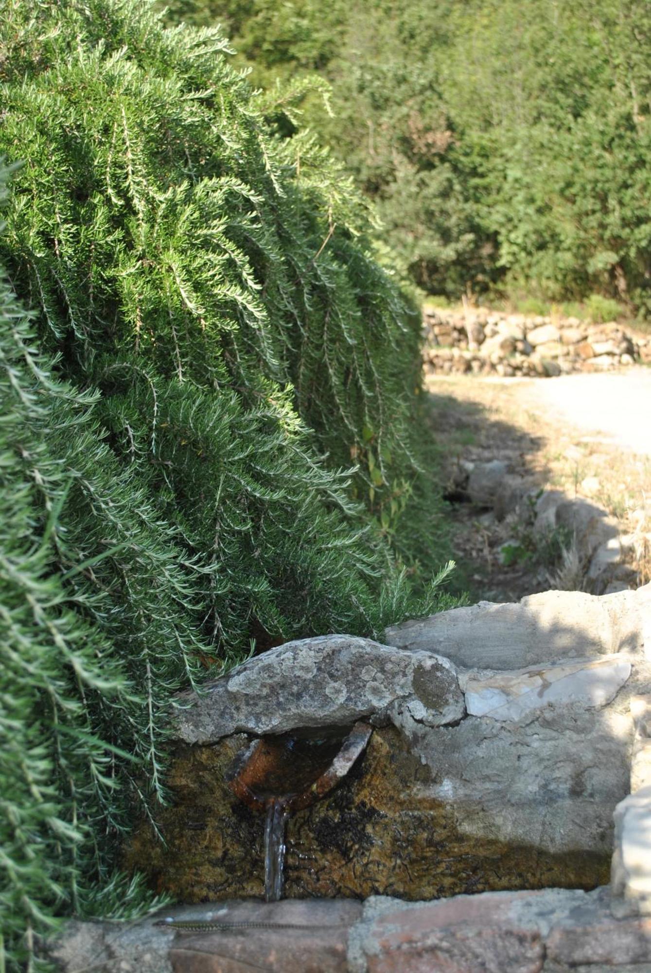 Azienda Agricola Biologica La Cardellina Tolfa Exterior foto