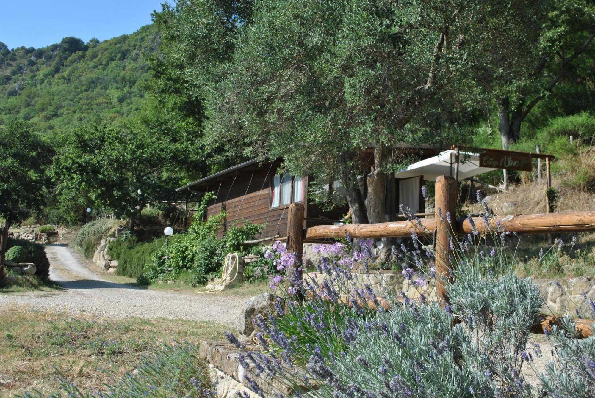 Azienda Agricola Biologica La Cardellina Tolfa Exterior foto