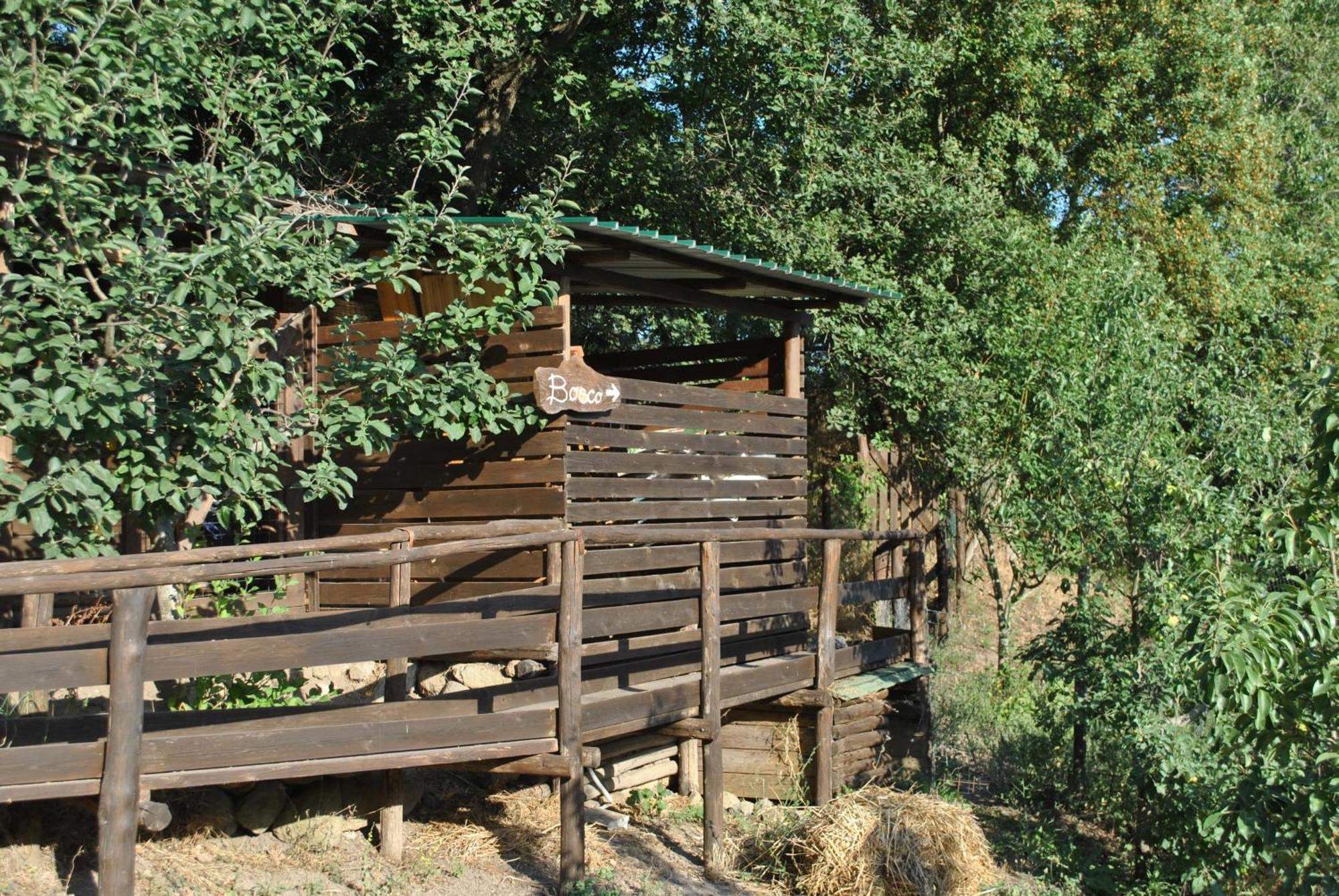 Azienda Agricola Biologica La Cardellina Tolfa Exterior foto